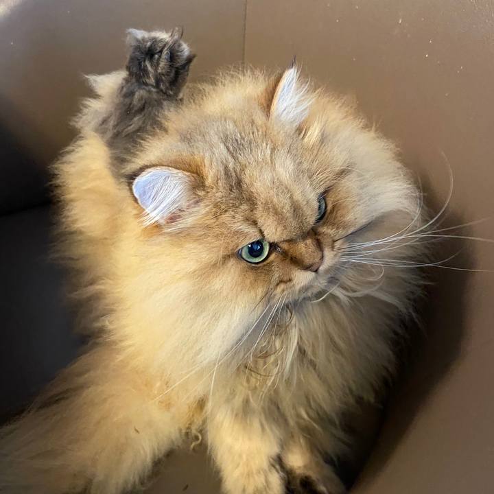 64d6b14c 6c52 4022 b641 850d1fb991b5 1577233534339