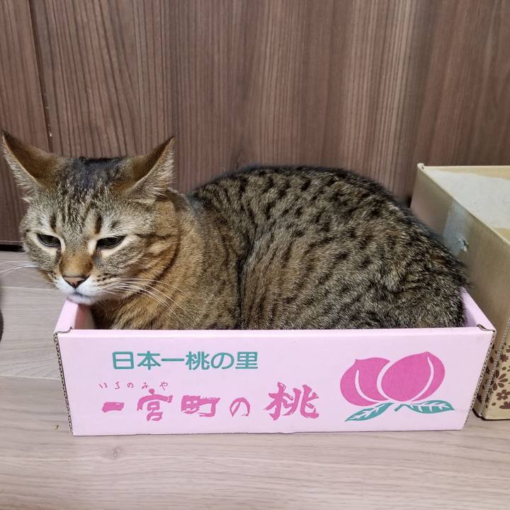 64d6c9f1 7b00 477c 8319 d4fc5a5903a3 1614287166228