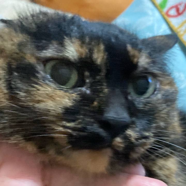 64d6d02c 7813 4d31 bed3 ff5d9436497a 1737880863118