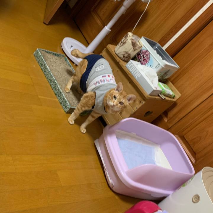 64d6fbeb 736b 4445 9be5 4b421f4f6a40 1607156061833