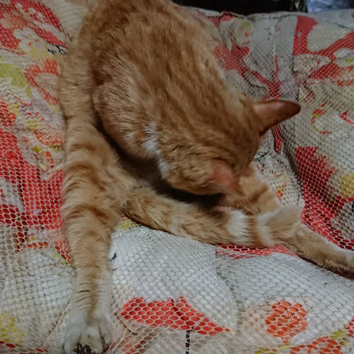 64d71b14 1007 4eff ac6a ec09df6003ec 1554210543460