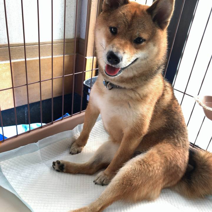 64d743c4 e0e0 4a71 983b 3a5aa41ca34f 1531955428036