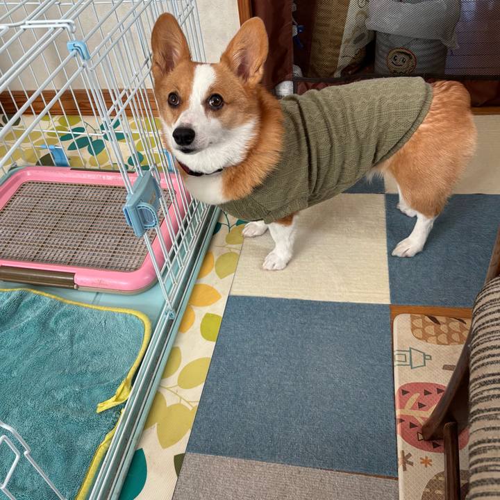 64d7500e 4393 44d3 84b5 5322ecc102b9 1764310267837