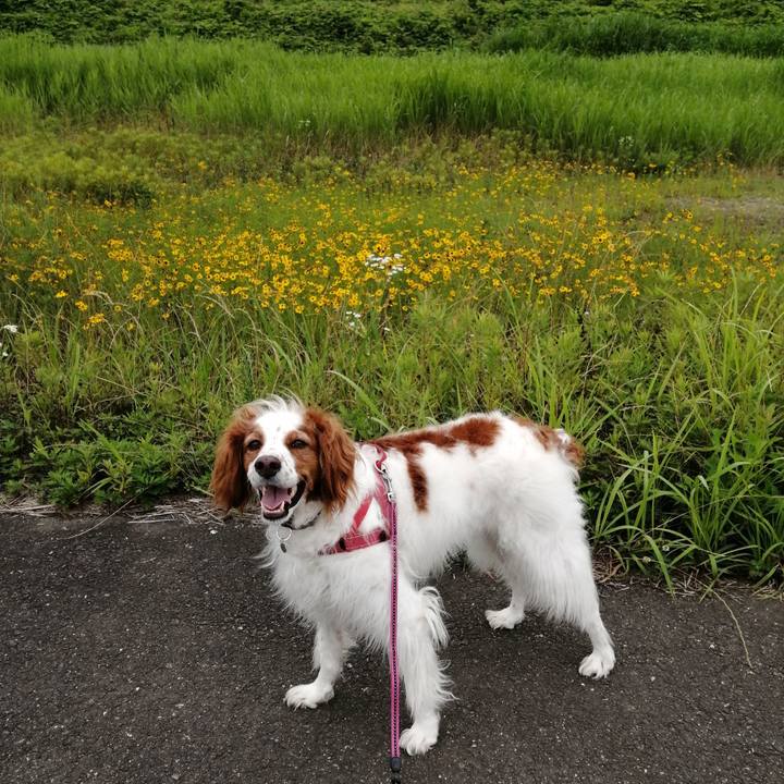 64d752e4 eb15 4273 b220 5a5b9a8d7ef3 1592728656749