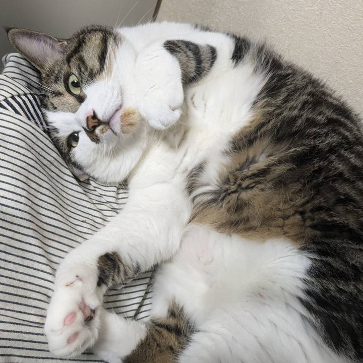 64d7722c adde 4ee7 afac 34a1519c97f6 1725195673019