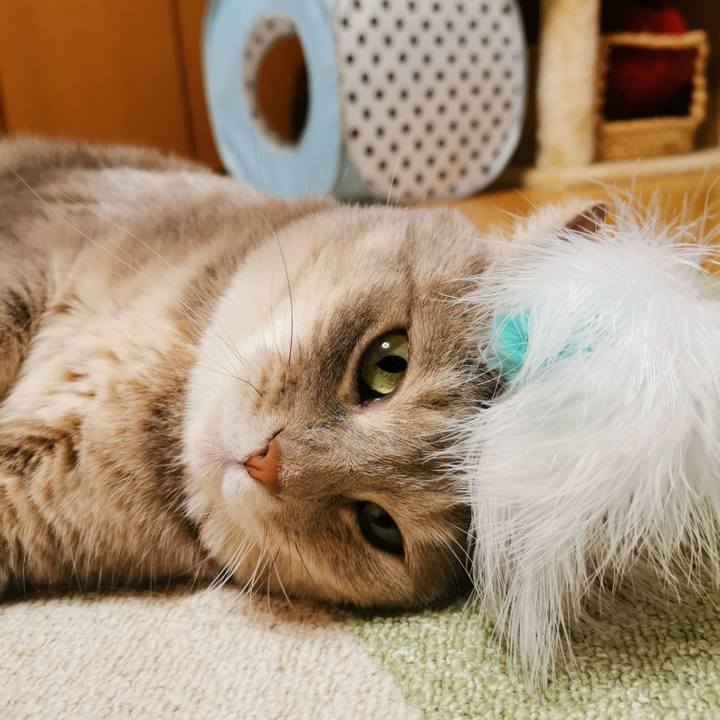 64d7cb7c 0ff8 454f ba08 e54978ec8aab 1626444542855