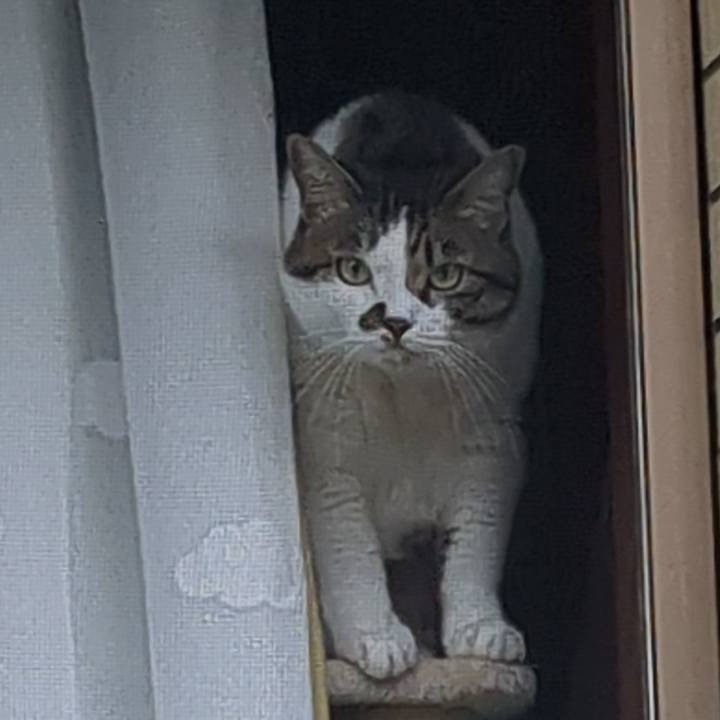 64d7cccc 0e33 49a4 afae 62308b9cdbce 1687734439432