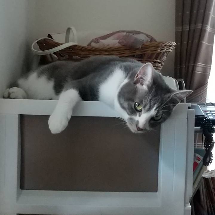 64d7f0d5 4d7a 4ddf a7e8 649aa86cd5bc 1623728134444