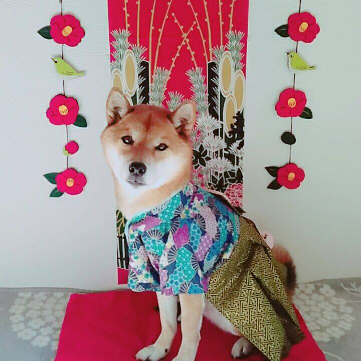 64d81ce2 200b 409f b618 f3e01f2da984 1577849430143