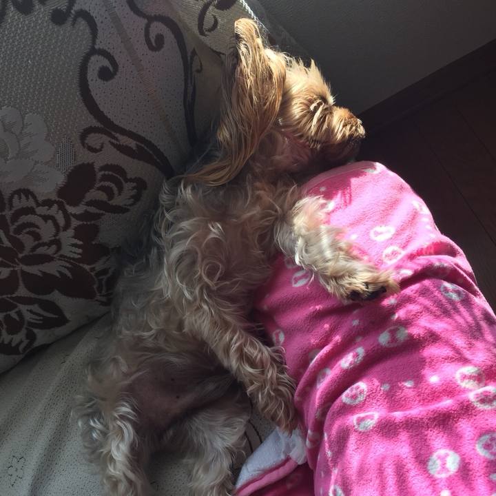 64d90649 20d7 44ff b2e2 f2070063ec5b 1522626469638