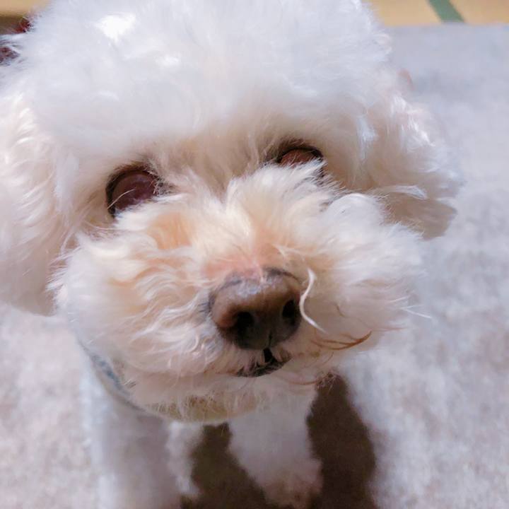 64d9206f 54ad 44f5 954e 418fd5996861 1556607851941