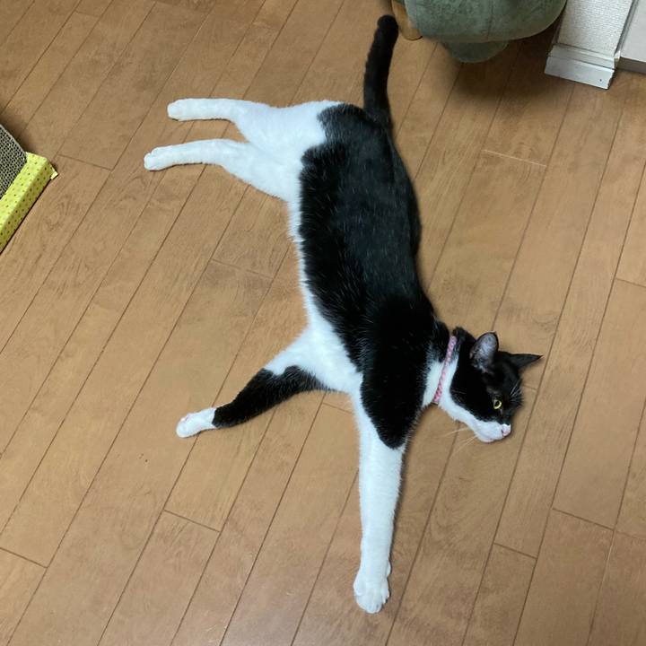 64d936f8 8de2 4d7d bd99 5ae80d28ac1a 1625227218034