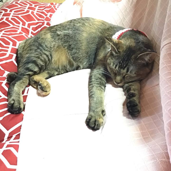 64d94c31 ca14 44c8 8fa4 333b58405963 1609313140355