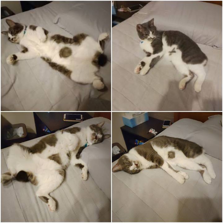 64d97b50 b4ea 4265 be65 438e0c112de6 1660741329419