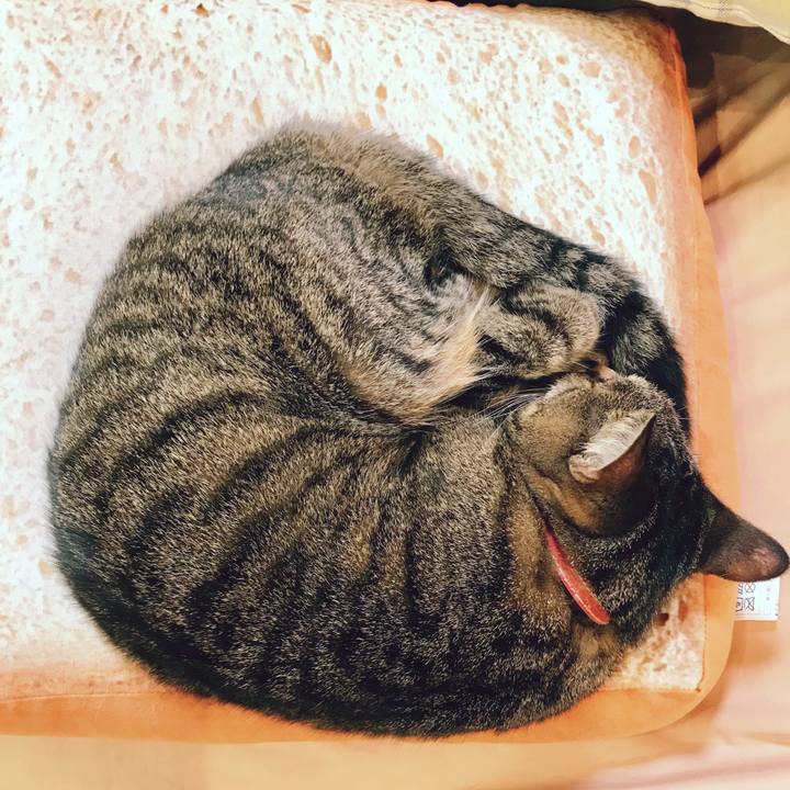 64d998af a912 43d4 b523 c7251a52b57c 1522756045539