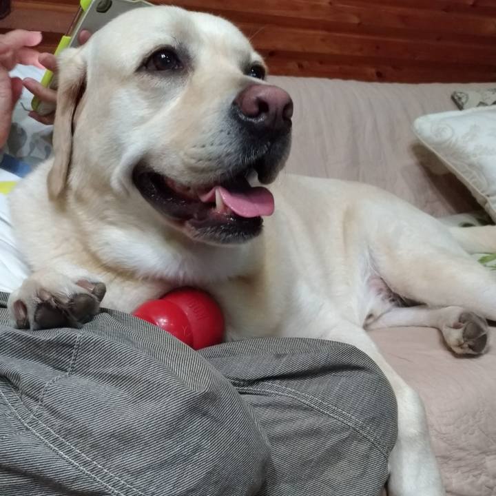 64d9b5af 2175 4782 a556 e8c4df1cecaf 1565112652885