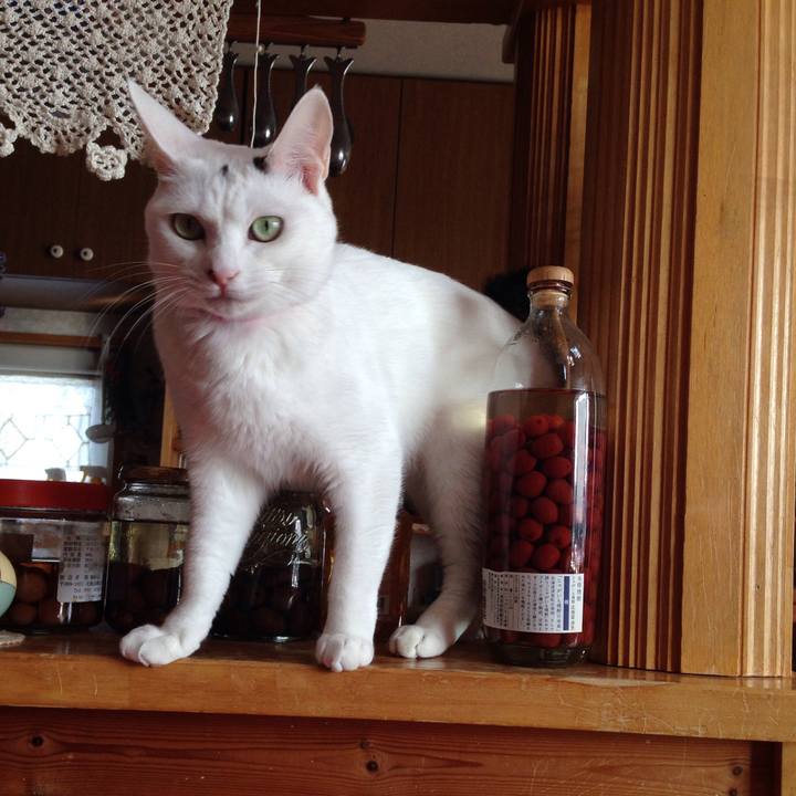 64d9cdbc 8ff0 41e6 8b0b c22d22c8c7d2 1514354418931