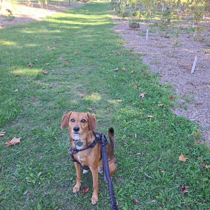 64d9efb6 70ad 41c3 b2c3 2cc144bbc006 1759331534755