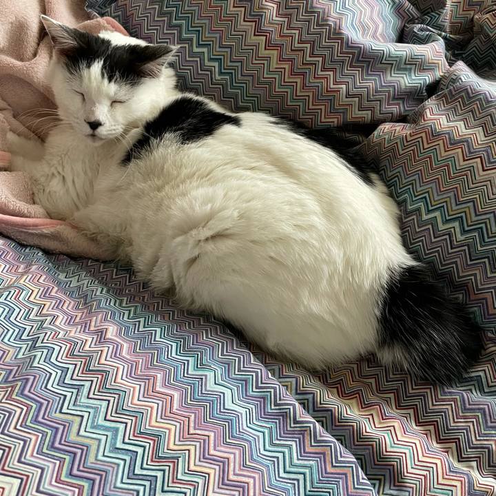 64da748b dd3e 47c2 b1cf 5f335bb3000d 1618532252918