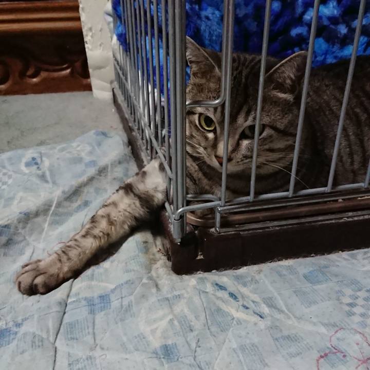 64daaedb 153e 4317 9ebf 4572da8edde0 1521382117161