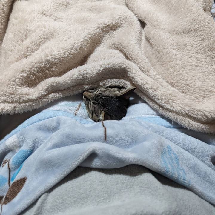 64daba23 3e38 4c0c 9253 bc1f75a7e319 1704809143465