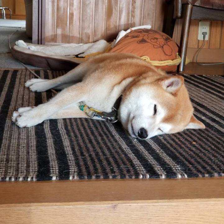 64daca14 c51e 4f78 b761 61cd2f1bb2ef 1591232573243