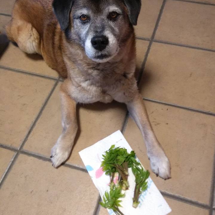 64dacb10 6036 4ef2 8778 79eba4c36eb9 1558342488083