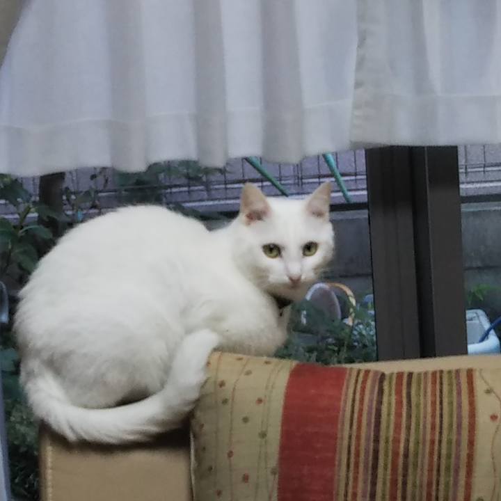 64dafe87 5190 4905 8971 aafd20588d88 1664836676285