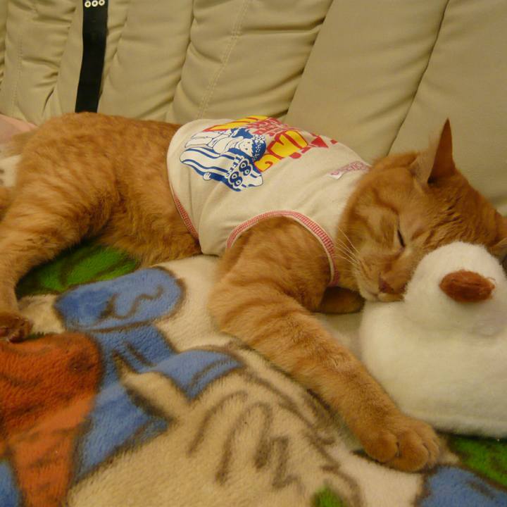 64db06ba 267b 4c28 8327 0b78253db668 1574861472712