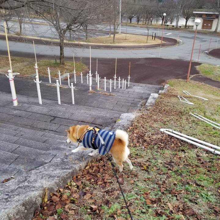 64db0fb0 d7a0 45c4 9af8 bfd5c70092b9 1638600891386