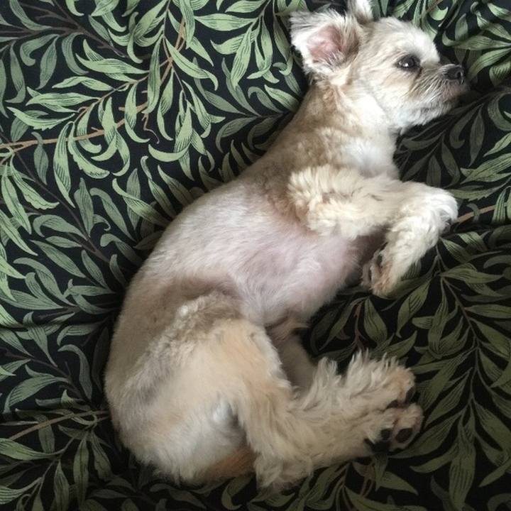 64db4d1e 56dd 43ae a846 2e4f81c534a6 1541535848267