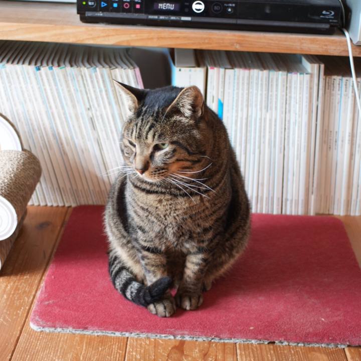 64db5e01 9afe 4d01 9c56 f0ae3a03de99 1746918369472