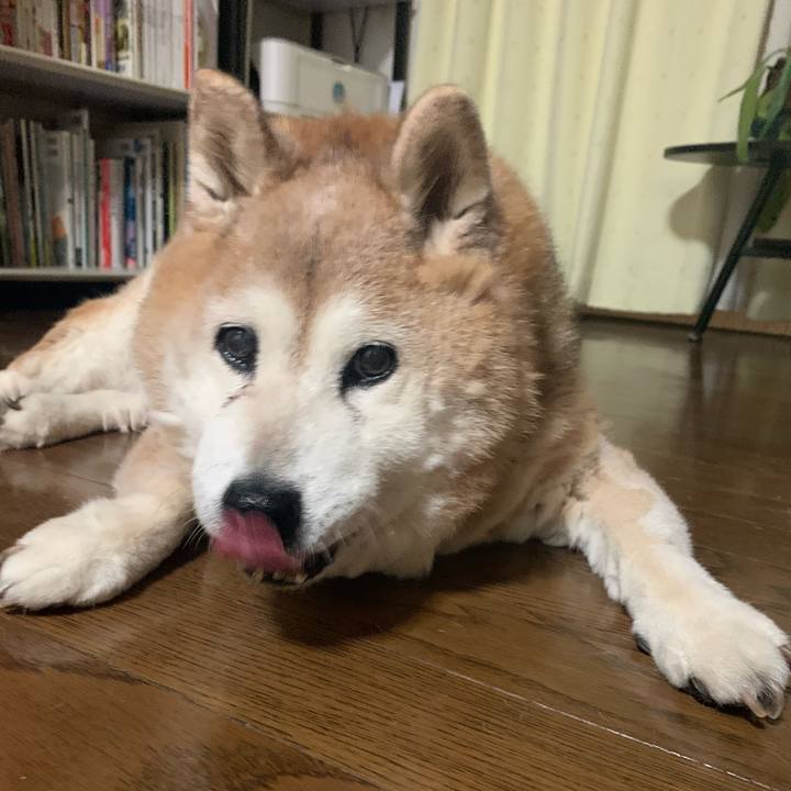 64db7273 e27e 465e 8e4f 5f7b234ed892 1653566935736