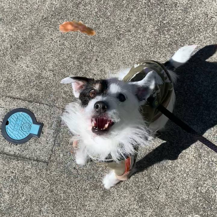 64db8789 e150 4e00 bf97 1b04b5cfc9d0 1711500445488