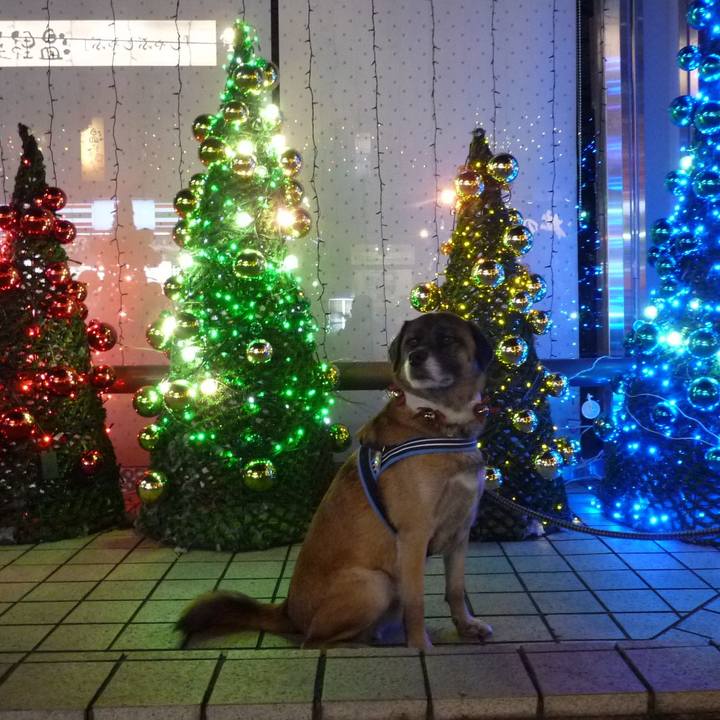 64dc1da7 8974 4a6f a842 cd5edf3092ba 1578437437611