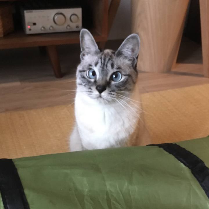 64dc495d 5e75 4bdd 9d55 589b92a0cf0b 1585723900841