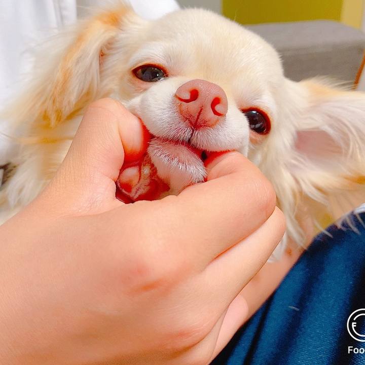 64dc5313 138f 4bfc a26a c80aea3bff8d 1624497534808