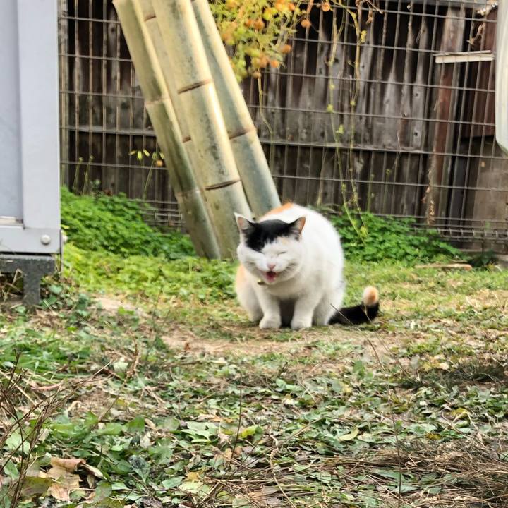 64dc58c5 21de 44e0 9f78 6eae882c8fde 1608723978382