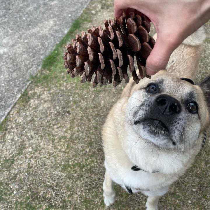 64dce9a4 1e3b 4994 b296 eae062a4a017 1716381774082