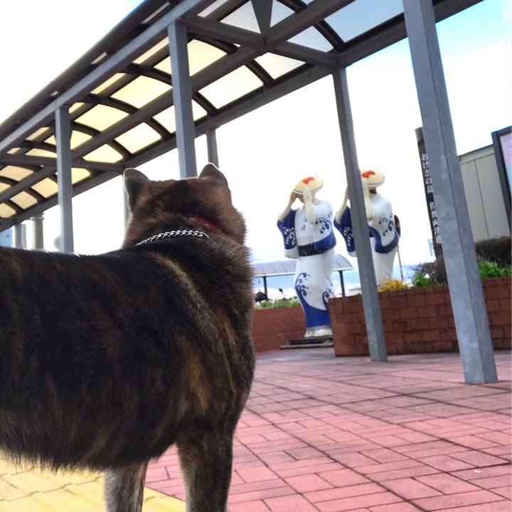 64dceaa3 ebf6 4b71 bf3d ebb4911549df 1554009049371