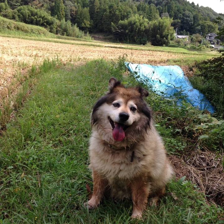 64dd11fa 4346 44d0 8cac 67c934e88ba5 1602942308633