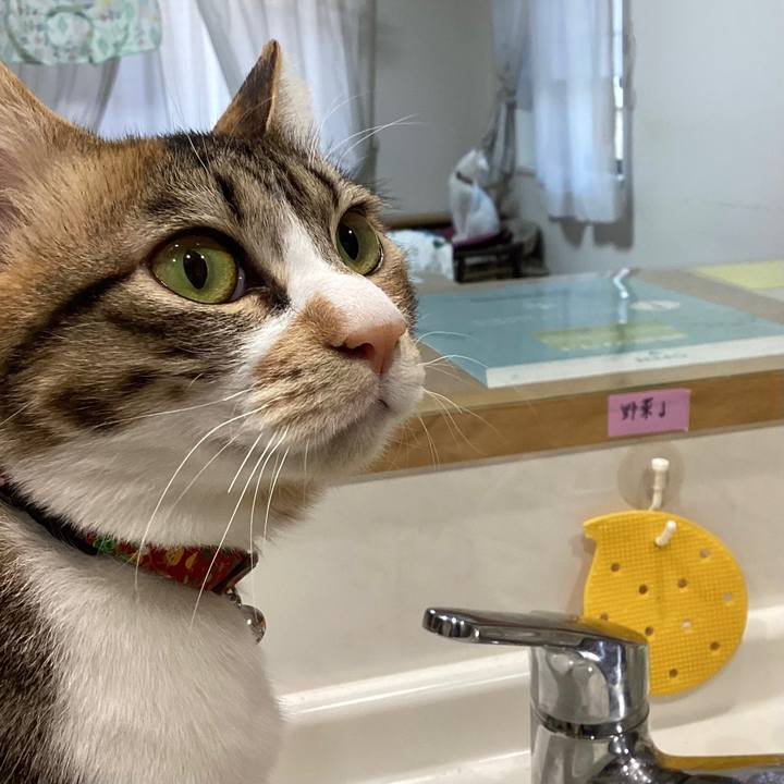 64dd27f4 4a1e 4d49 a601 fe2ec5a314d2 1676848522603