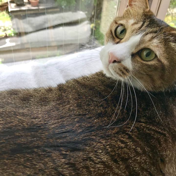 64dd2e16 30bc 4b4e 9af7 eed155234827 1556418509559