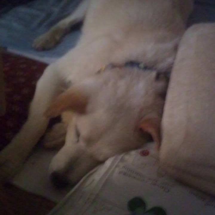 64dd3bb6 3c02 4630 91b2 bb6085cd623e 1512967614016