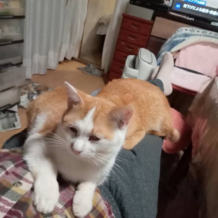 64dd46df bb48 47ac 8964 7cc93d4f0f67 1742550586353