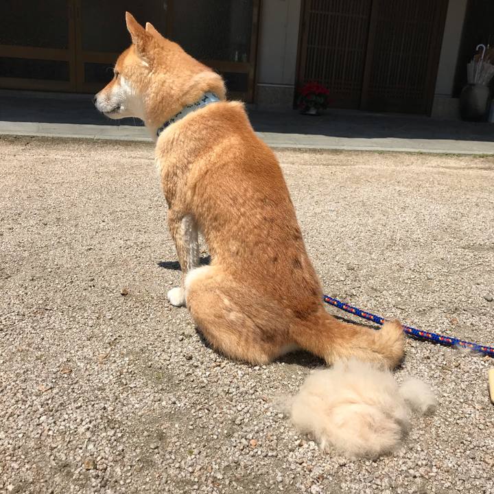 64dd5f84 88aa 4e10 9e51 55738e3ea9cc 1587955009504