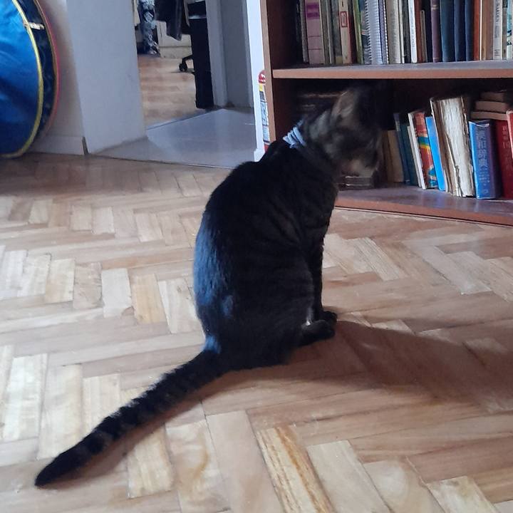 64de1841 9bff 48cf 8ba6 c4f95912d2ea 1757555443320