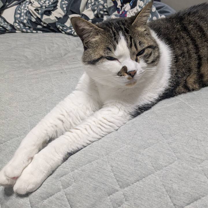 64de7195 e892 41c7 b620 a42881d691d1 1748208175935