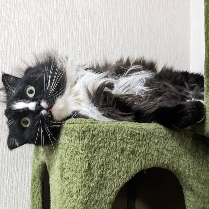 64de8a42 dfff 43f8 809e 4f618ffacbaa 1690720518542