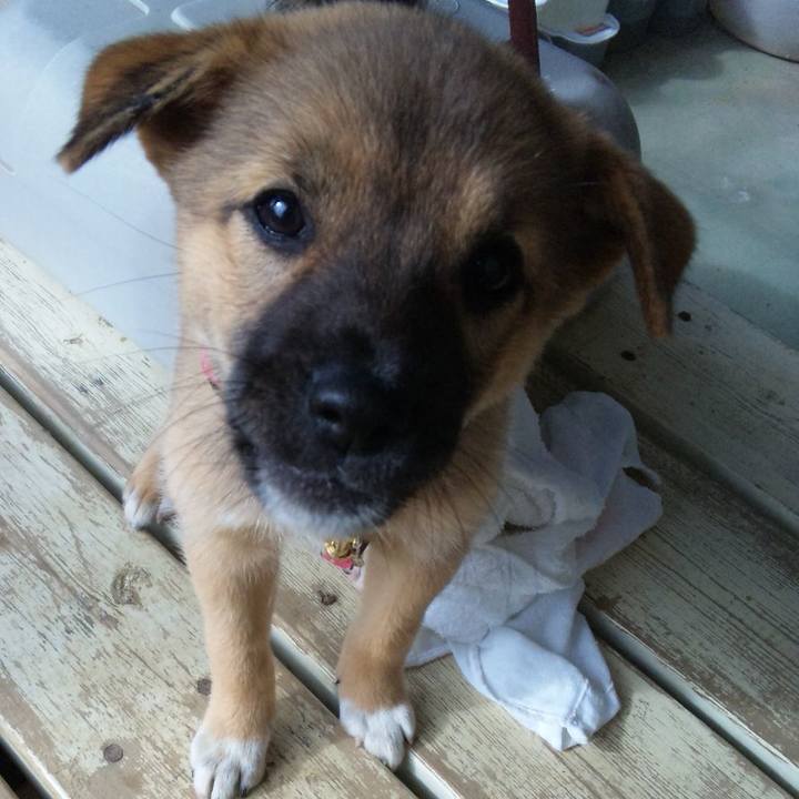 64de98d0 6aa7 434e a7fb f47a9a3c3eef 1599391575867